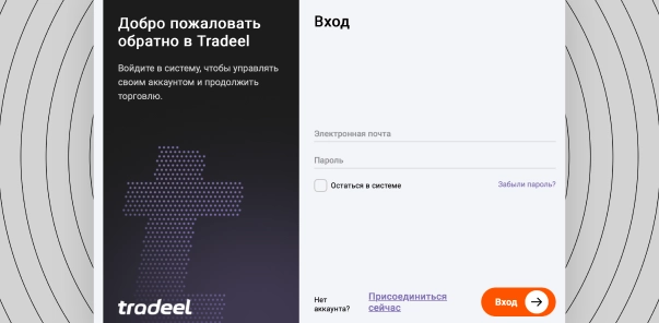Страница входа в торговую платформу Tradeel